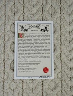 Boland Clan Scarf -The Warm Shop BOLAND CREST BACK 29222.1605085935