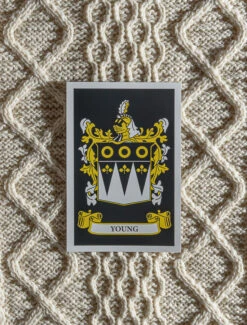 Young Clan Scarf -The Warm Shop shot 83 94939.1605175946